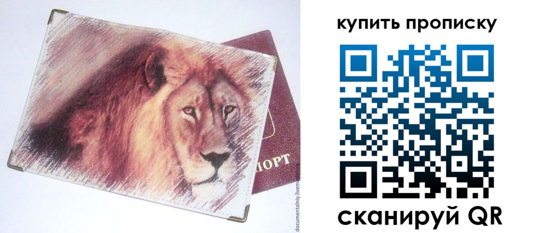 прописка паспорт в Зее